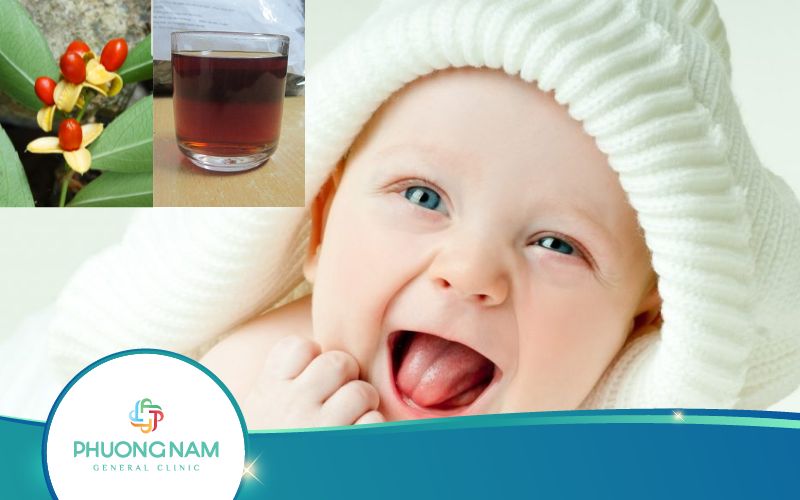 Trẻ Em Có Uống Được Cây Xạ Đen Không? Bố Mẹ Nên Biết!