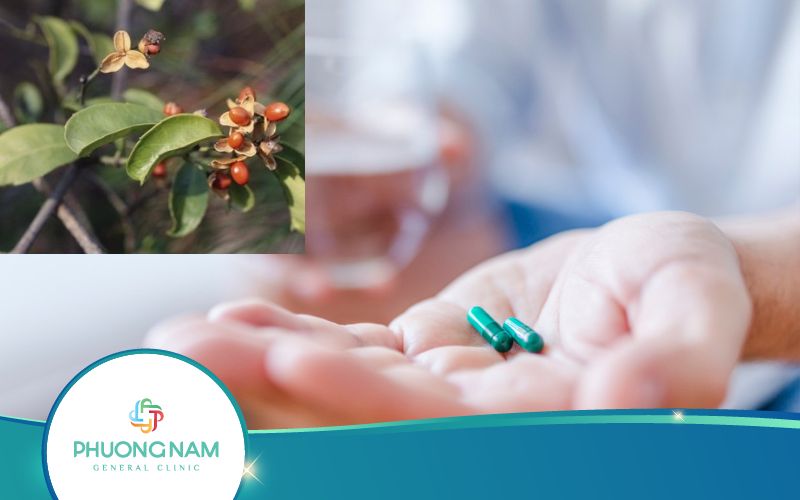 Giải Đáp: Uống Thuốc Tây Có Uống Được Xạ Đen Không?
