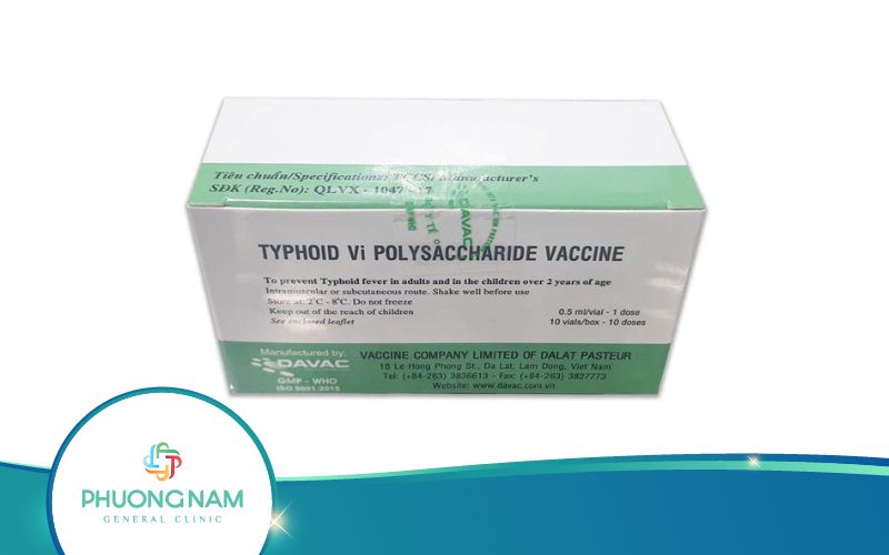 Tìm Hiểu Về Vacxin Thương Hàn Typhoid Vi (Việt Nam)