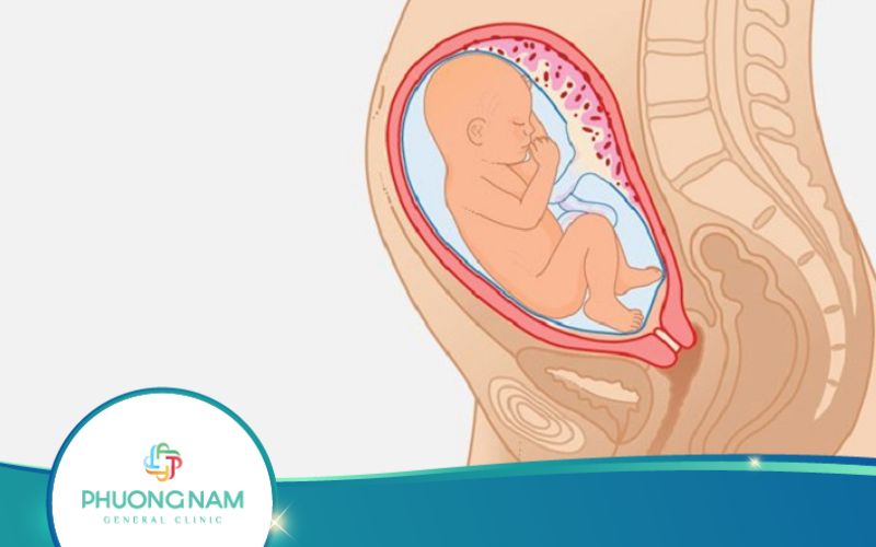 Dấu Hiệu Thai Nhi Khỏe Mạnh 3 Tháng Cuối