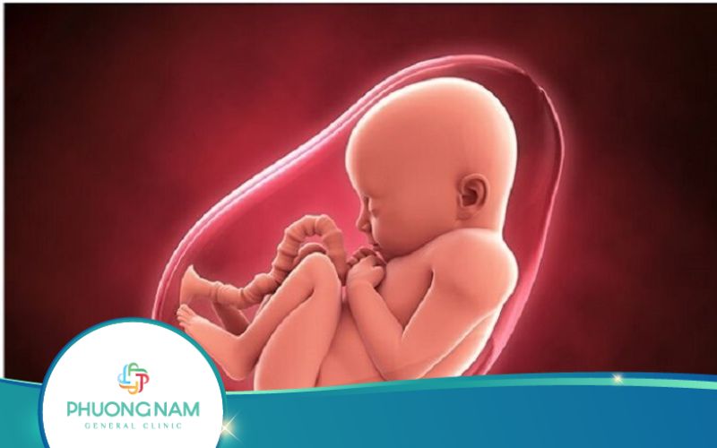 Túi Ối Nhỏ Hơn Tuổi Thai Trong 3 Tháng Đầu Có Nguy Hiểm Không