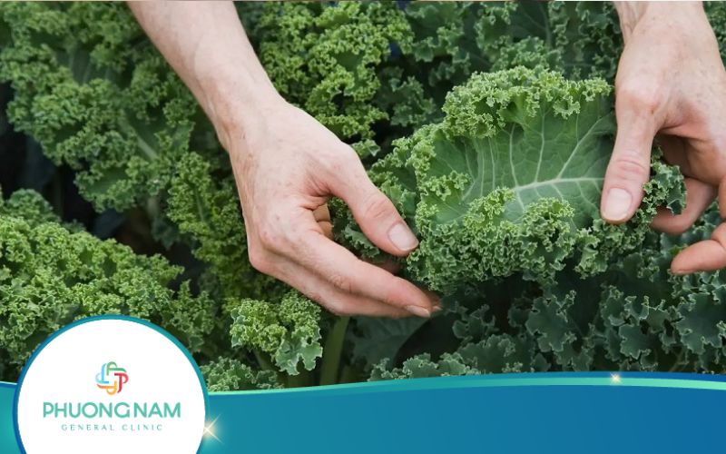 7 Công Thức Sinh Tố Cải Xoăn Kale Giảm Cân