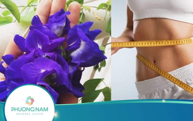 Công Thức Hoa Đậu Biếc Giảm Cân Đơn Giản Tại Nhà