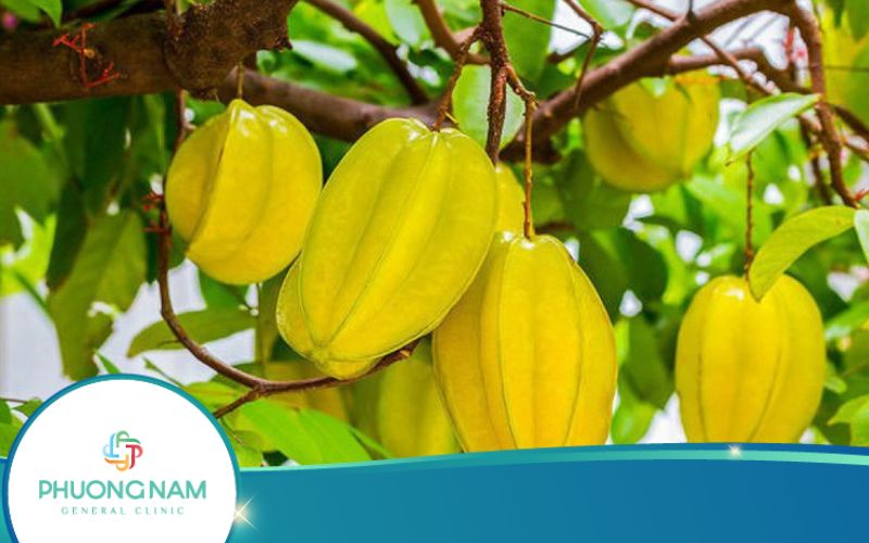 1 Quả Khế Bao Nhiêu Calo? Ăn Khế có Béo Không?