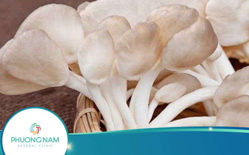 Nấm Bào Ngư Bao Nhiêu Calo? Ăn Nấm Bào Ngư Có Béo Không?