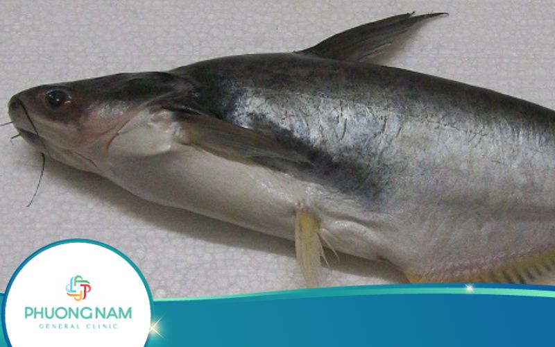 100G Cá Basa Bao Nhiêu Calo? Ăn Cá Basa Có Béo Không?