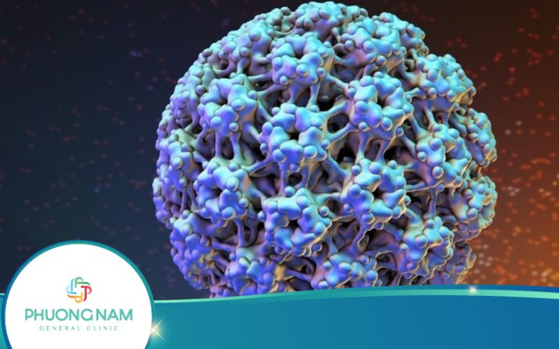 Các Loại Ung Thư Do Virus HPV Gây Ra Hiện Nay