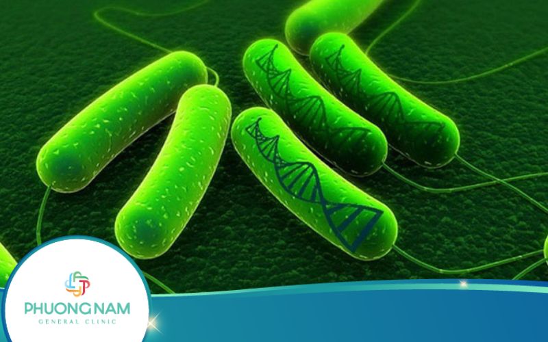Vi Khuẩn HP Gây Viêm Dạ Dày Lây Qua Đường Nào?
