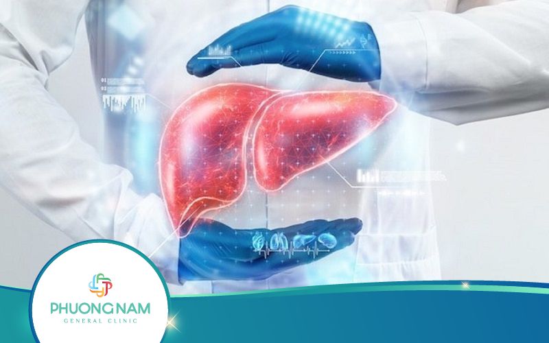 Hiểu Đúng Về Bệnh Gan Nhiễm Mỡ – Nguyên nhân, cách phòng ngừa