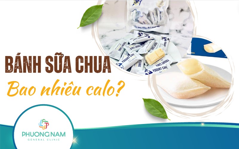 Bánh sữa chua bao nhiêu calo? Có béo không?