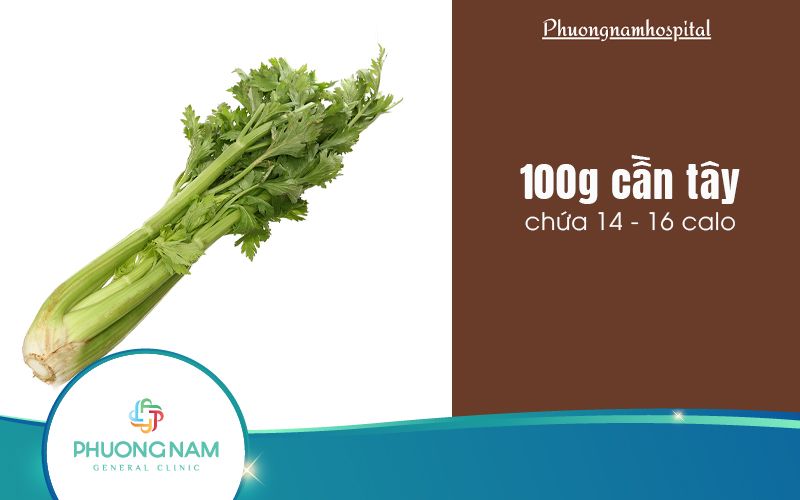 Cần tây bao nhiêu calo? Một số lưu ý cần biết khi ăn cần tây
