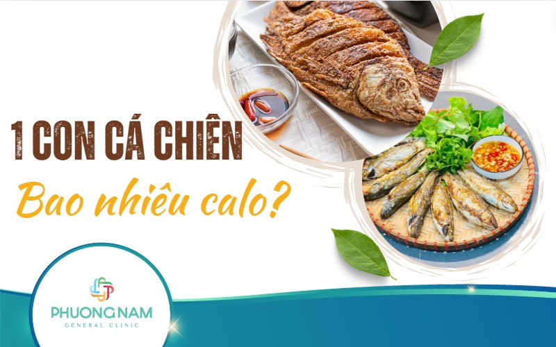 Cá chiên bao nhiêu calo? Lưu ý quan trọng khi thưởng thức