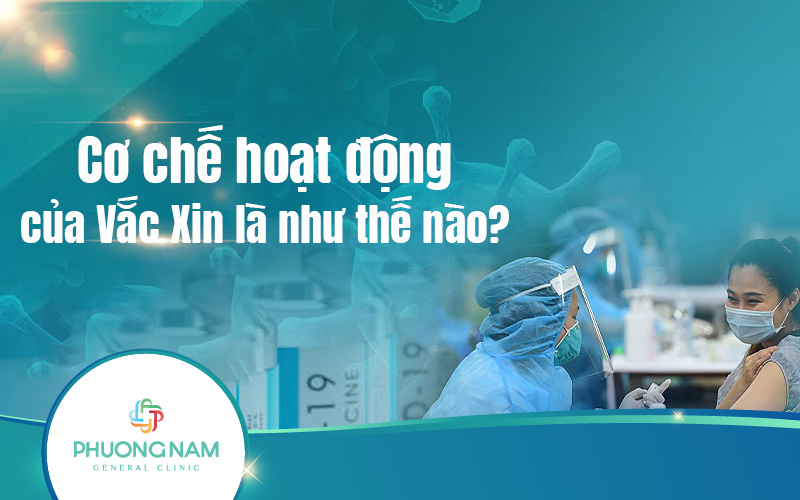 Cơ chế hoạt động của Vắc xin: Giải mã bí mật cơ chế bảo vệ sức khỏe