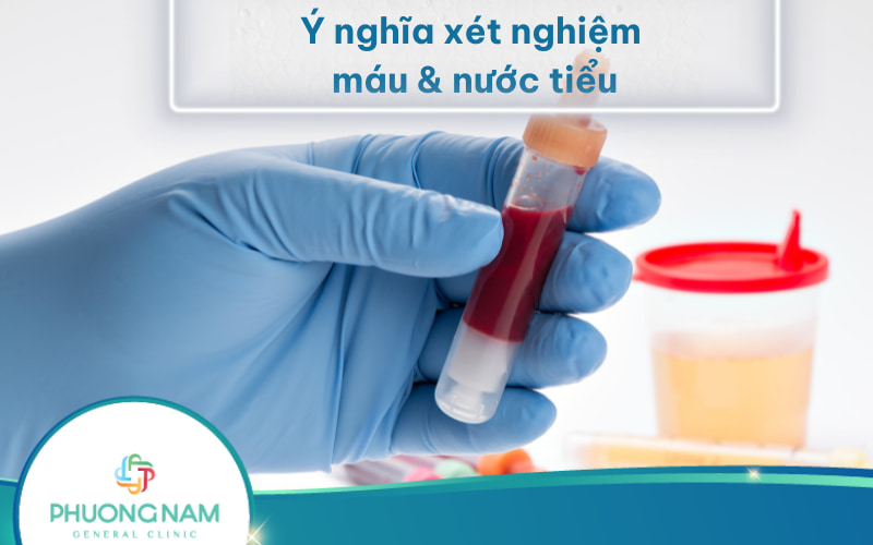 Tìm hiểu ý nghĩa của xét nghiệm máu và nước tiểu
