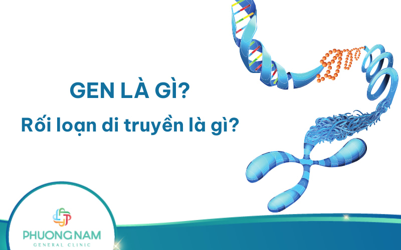 Gen là gì? Xét nghiệm gen là gì?