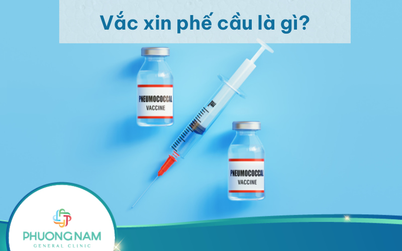 Vắc xin phế cầu là gì? Lợi ích của tiêm chủng vắc xin phế cầu