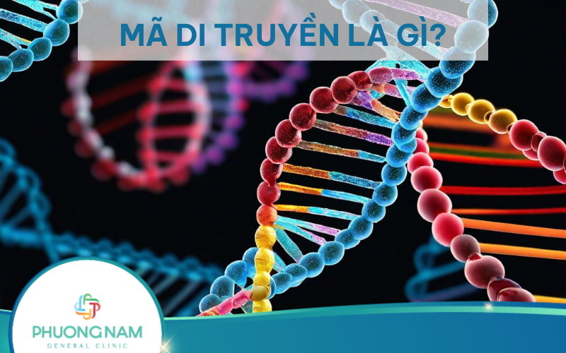 Mã di truyền là gì? Những đặc tính của mã di truyền