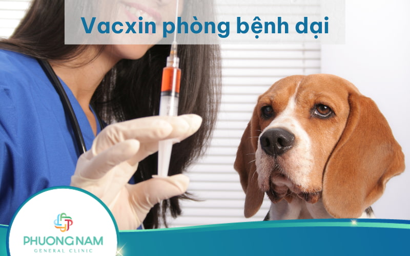 Vacxin phòng bệnh dại: Tác dụng, đối tượng, lịch tiêm & chống chỉ định