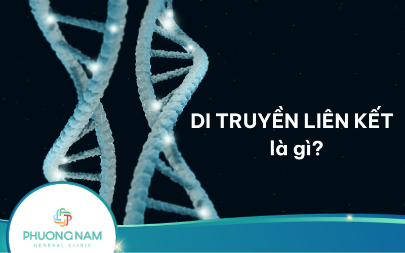 Di truyền liên kết là gì? Nguyên lý và ý nghĩa trong di truyền học