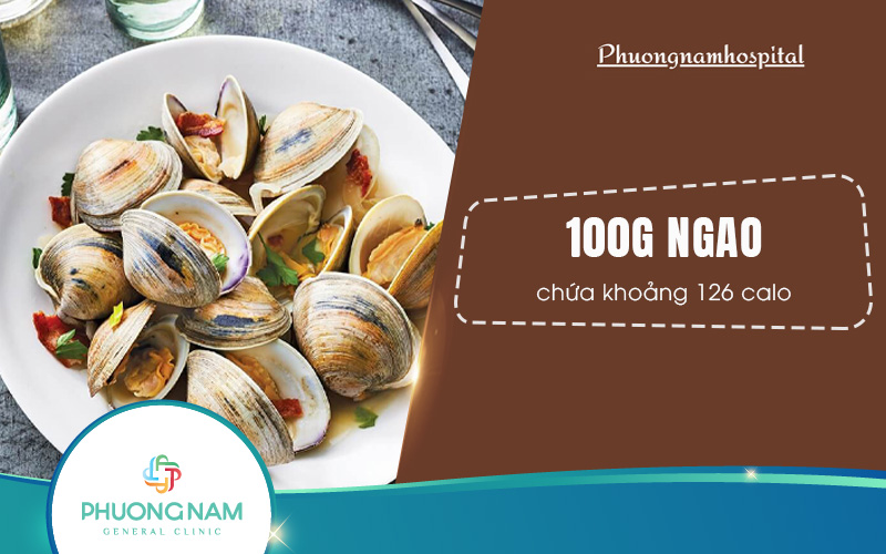Ngao bao nhiêu calo? Ăn ngao có bị mập không?