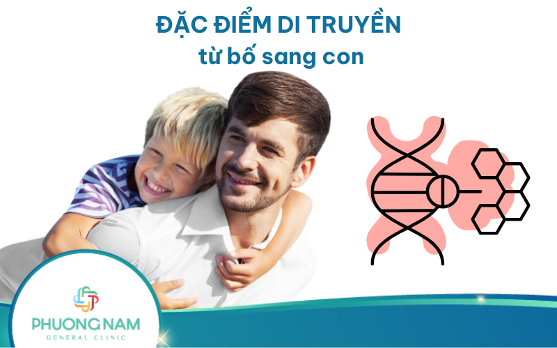 Những đặc điểm di truyền từ bố sang con