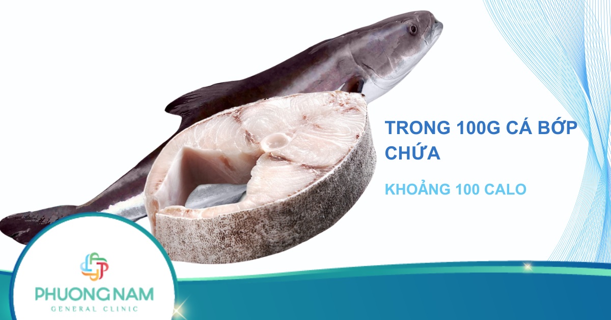 Cá bớp bao nhiêu calo? Cá bớp cung cấp dinh dưỡng gì cho cơ thể?