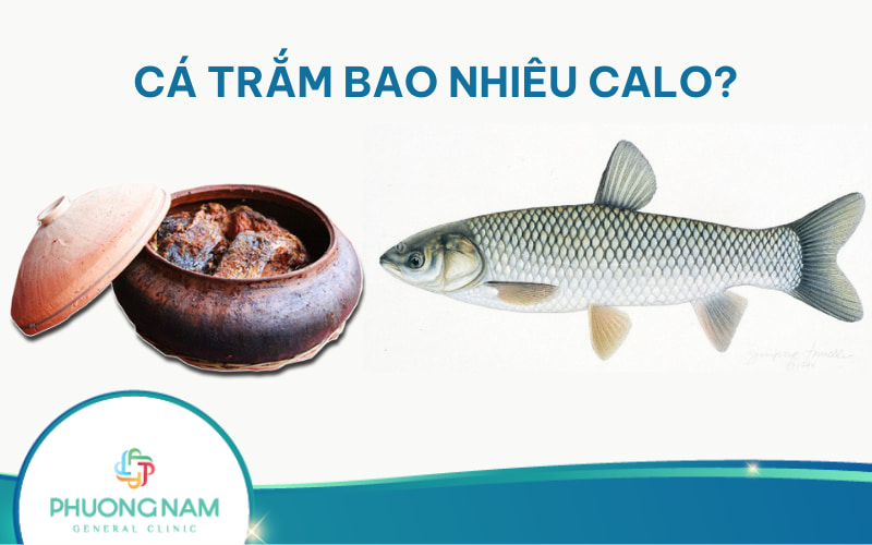 Cá trắm bao nhiêu calo? Ăn có béo không?