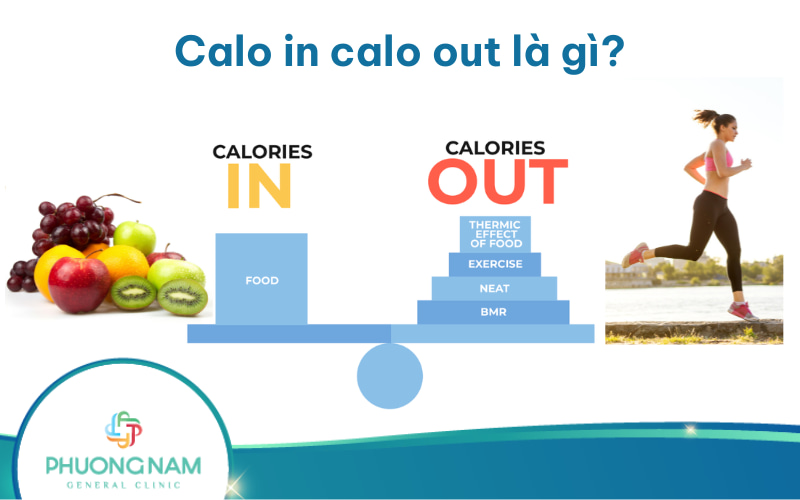 Calo in calo out là gì? Sự thật cách tính calo in calo out
