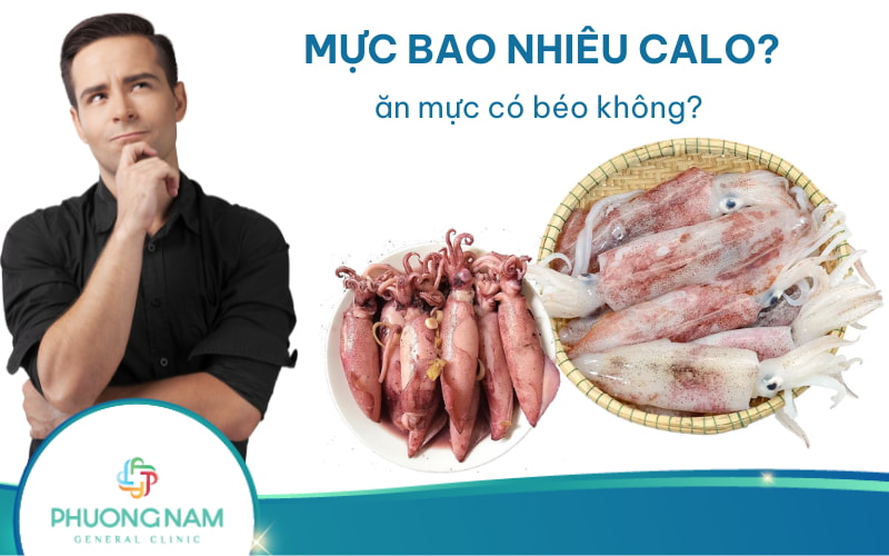 Mực bao nhiêu calo? Ăn mực có béo không?