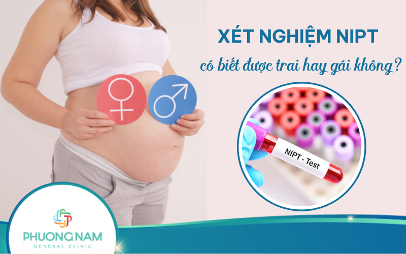 Xét nghiệm NIPT có biết được trai hay gái không và có chính xác không?