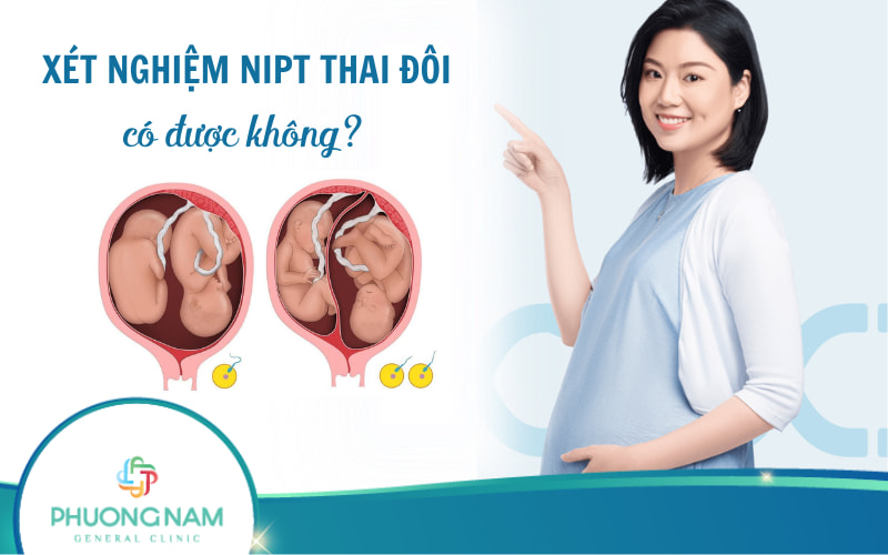 Xét nghiệm NIPT thai đôi có được không? Cần lưu ý điều gì?