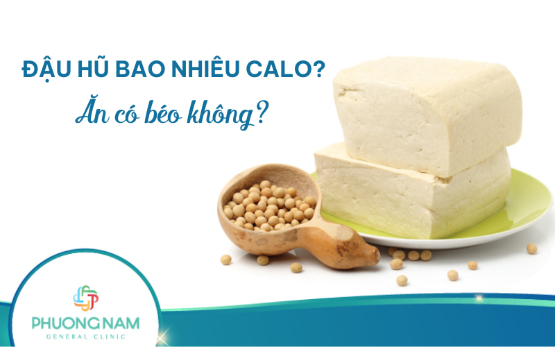 Đậu hũ bao nhiêu calo? Ăn đậu hũ có béo không?