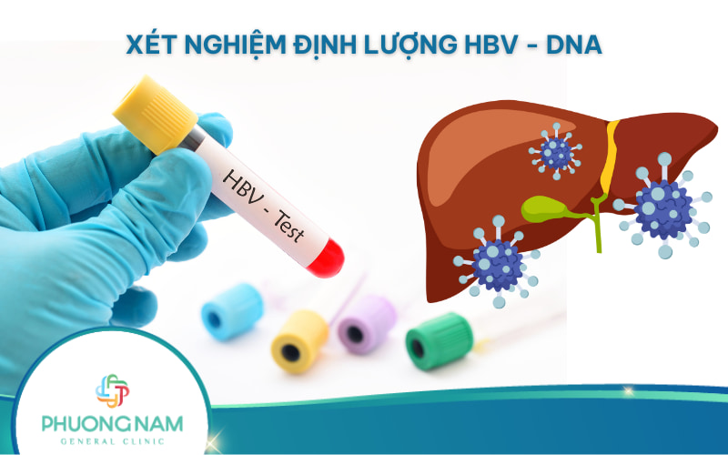 Xét nghiệm định lượng HBV-DNA: Định nghĩa, cách lấy mẫu, kết quả