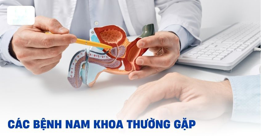 8 Bệnh Nam Khoa Thường Gặp Ở Nam Giới Và Cách Điều Trị Hiệu Quả